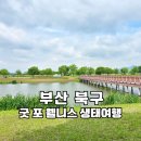 낙동강관리본부 화명생태공원 10 | 부산 북구 여행 화명생태공원 숲체험 신청방법
