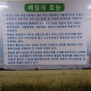 봉평메밀특산단지 영농조합법인