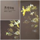 전주최씨12정려각 | [2025.03.23]국립고궁박물관5. 상설전 조선의 궁궐+ 조선국왕