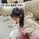 맥스 PC | 인천 실내동물원 아이와 갈 만한 곳 쥬벅스 먹이주기체험