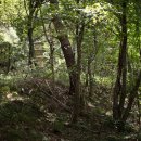 석탑목욕탕 이미지