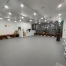 하이랑 애견유치원 이미지