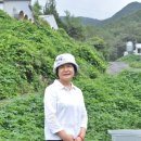 스타트업포럼 이미지