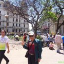 백인목장 2 이미지