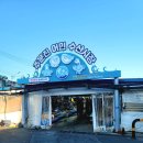 대야건어물 | 강릉 홍게 포장집 추천 주문진어민수산시장 홍게 가격, 찜비│평창 강릉 여행