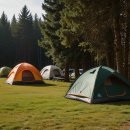 자동차하우스 이미지