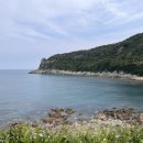 성길민박 네이버블로그