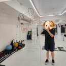 라이프복싱 방이역점 | [복싱] 라이프복싱 송파방이역점 후기