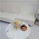 제일가축병원 | 영천 완산동 발톱무좀 맞춤관리로 스트레스 해결한 후기 골든풋 영천점 재은네일뷰티