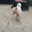 최병태농장 Daum카페