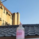 수원양조 협동조합 | [막걸리주점,양조장] 행궁연가,수원양조협동조합/수원,행궁동/( •̀ ω •́ )✧