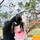불곡산농원 - 양주시 양주산성로307번길 18 | 불곡산농원