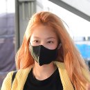 오렌지헤어 이미지