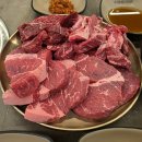 카우 모터스 이미지