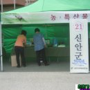 진진정보통신 이미지
