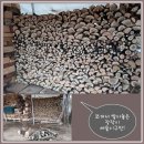 막내네