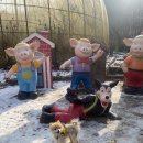 호두데이 이미지