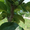 억새풀농장 이미지