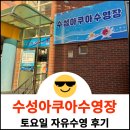 수영 | [공지] 수성아쿠아수영장(수성초) 자유수영 후기