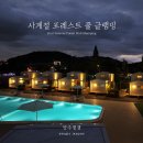 거창읍사무소 ~ 풀조명 | 서울근교 가볼만한곳 ★ 사계절 포레스트 풀 글램핑 &amp; 카라반 양주 잼잼펜션