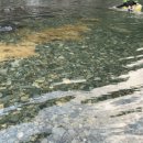 옥계쿨펜션 이미지