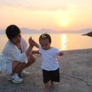 남해-310 이미지