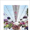 광주농협 로컬푸드직매장 동광주점 이미지