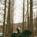 비슬 승마체험장 이미지