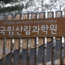 홍릉숲 이미지