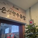 은성인테리어 | ​[건대 맛집 곱창] 새로 오픈한 '은성한우곱창' 솔직 후기! 파김치 예술, 주류 1+1 이벤트까지 대만족