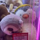또또와인형뽑기 네이버블로그