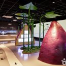 영바이브 이미지