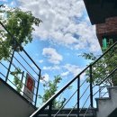 케이크이즈 | 위례 애견 동반 카페 맛집 이즈케이크 방문 후기