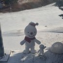 왕십리제2동주민센터 어린이쉼터 | 홍천 비발디파크 스노위랜드 아이랑 썰매장 후기 (준비물 어트랙션)