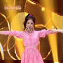 포커스영상