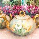 코테이지 이미지