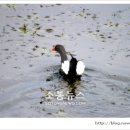 용동면주민센터 이미지