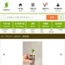 묘한정원 이미지