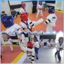 신화태권도장 이미지