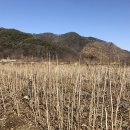 용준농장 이미지