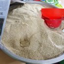 와포햇살 영농조합법인 이미지