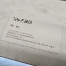 가누즈헤어 이미지
