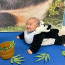 둔산이마트 | 반짝반짝 똘망이 5개월 아기 문센 후기 (대전 둔산 이마트 컬처클럽 문화센터)
