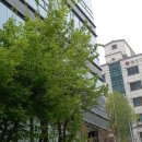 여의도순복음송파교회 이미지