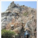 영남초교 이미지