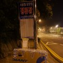 노기탁 | 후지미 파노라마 mtb파크 후기