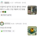 씨끌드로 | 대전 여행 당일치기 맛집 투어 / 대전 가볼만한곳, 데이트, 디저트, 빵 추천