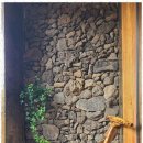 장전1038 이미지