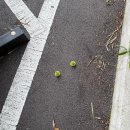 몽구 | 울산 삼동 눈앞에 자연을 한껏 담을수 있는 몽구도원 내돈내산 후기