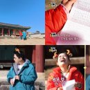 금송아지 이미지